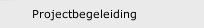 Projectbegeleiding