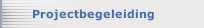 Projectbegeleiding